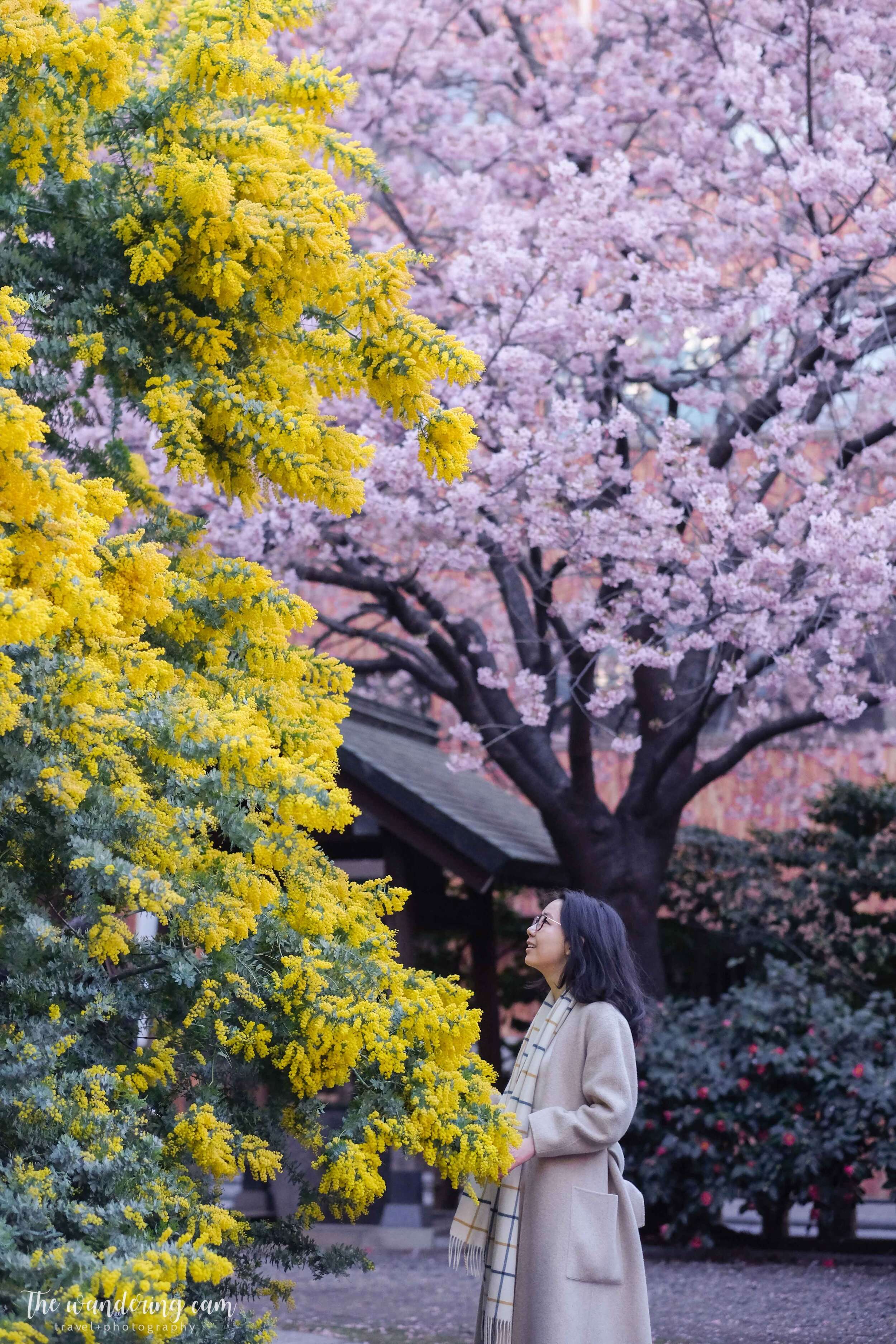 ⛩️ 쿠라마에 신사(蔵前神社) 이미지 7